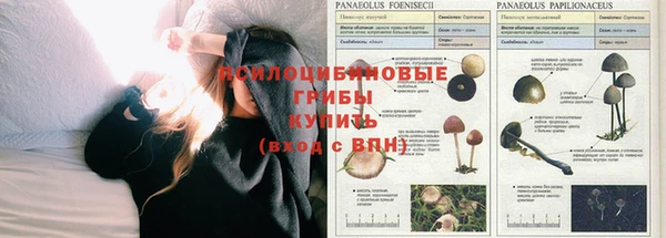 таблы Богородск