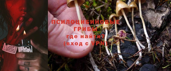 COCAINE Богданович
