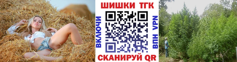 Бошки Шишки план  kraken сайт  Якутск  сколько стоит 